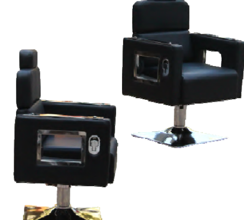 camera chair